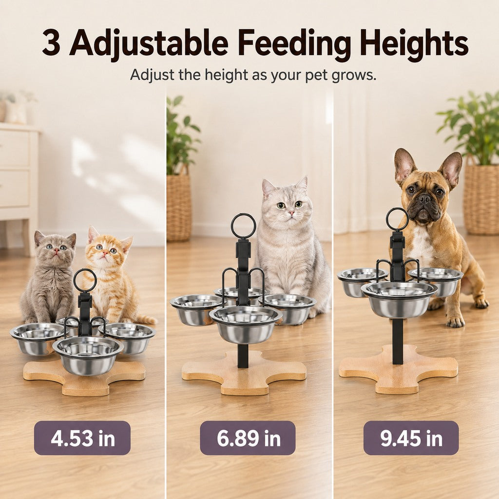 4-Bowl Adjustable Elevated Feeder – Organized Meals