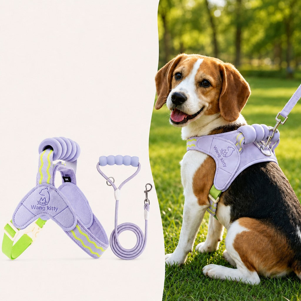 Padded Dog Harness & Leash Set – Easy Control