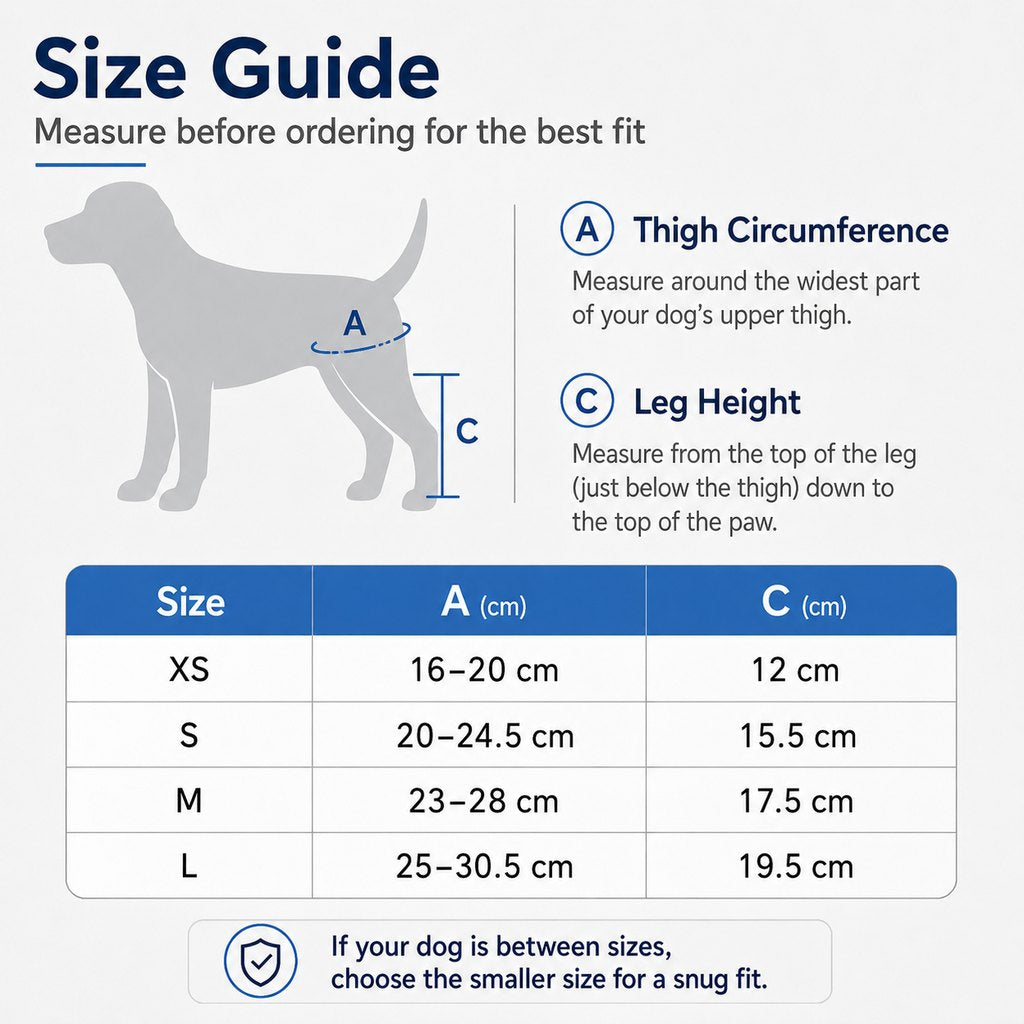 Dog Joint Support Brace – Senior Leg Stability
