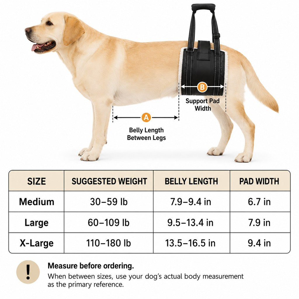 Rear Support Dog Lift Sling – Easier Stairs & Cars