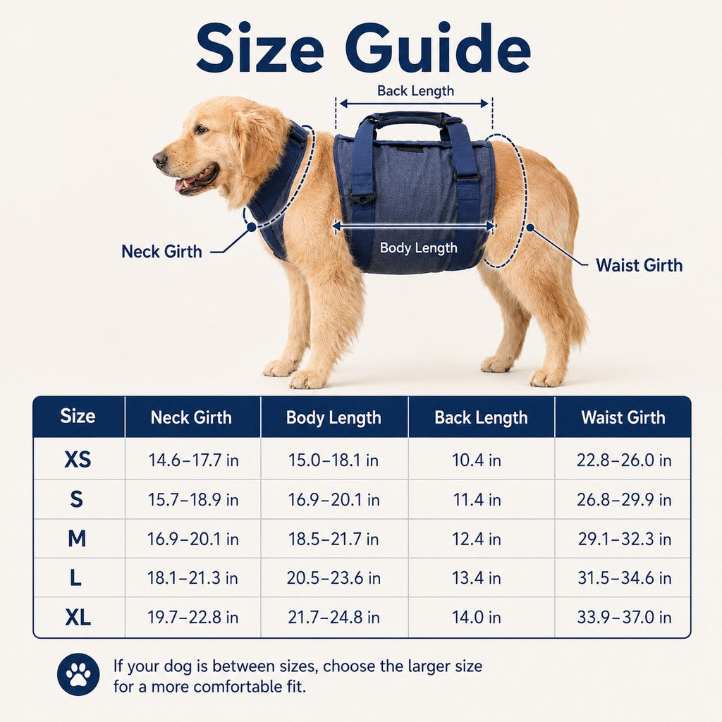 Senior Dog Lift Harness – Full-Body Support