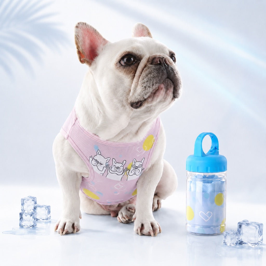 Frenchie Cooling Vest – Cooler Hot Summer Walks