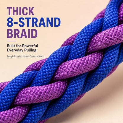 Heavy-Duty Braided Dog Leash – Control for Strong Pullers
