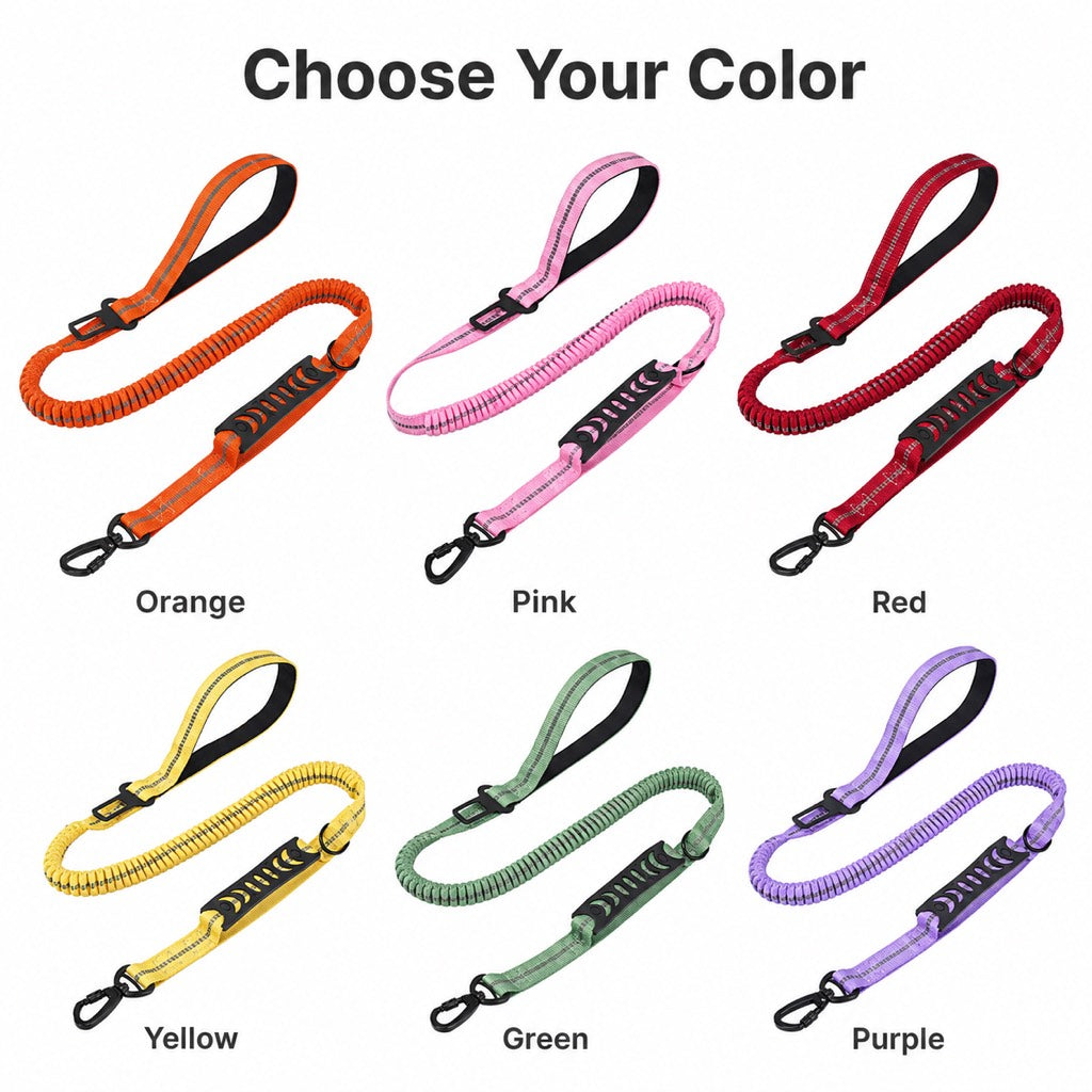 Dog Car Seat Belt Leash – Shock-Absorbing Safety