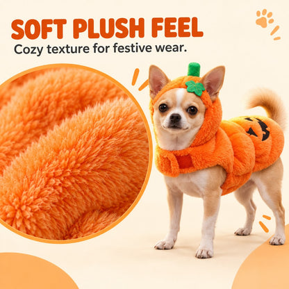3D Pumpkin Dog Costume – Plush Jack-O'-Lantern