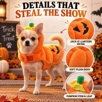 3D Pumpkin Dog Costume – Plush Jack-O'-Lantern