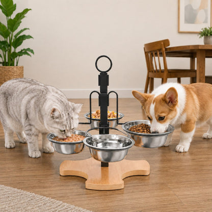 4-Bowl Adjustable Elevated Feeder – Organized Meals