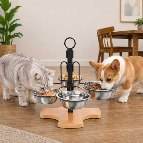 4-Bowl Adjustable Elevated Feeder – Organized Meals