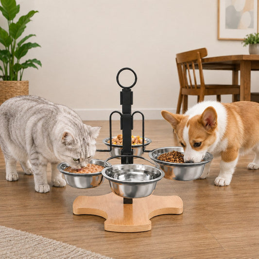 4-Bowl Adjustable Elevated Feeder – Organized Meals