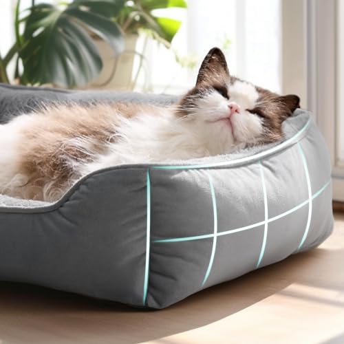 Bedsure Cat beds for Indoor Cats, Washable Small Cat Bed, 51x41cm