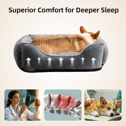 Orthopedic Support