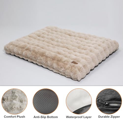 BingoPaw Dog Bed Medium Washable Removable Cover Beige M(76x51x10cm)