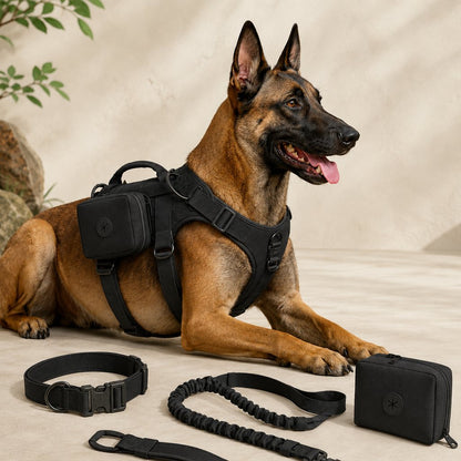 5-Piece Tactical Dog Harness Set – Control for Strong Dogs