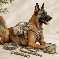 Camo