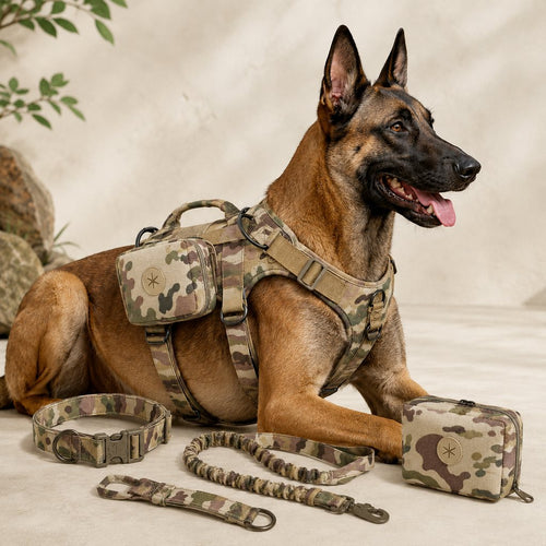 5-Piece Tactical Dog Harness Set – Control for Strong Dogs