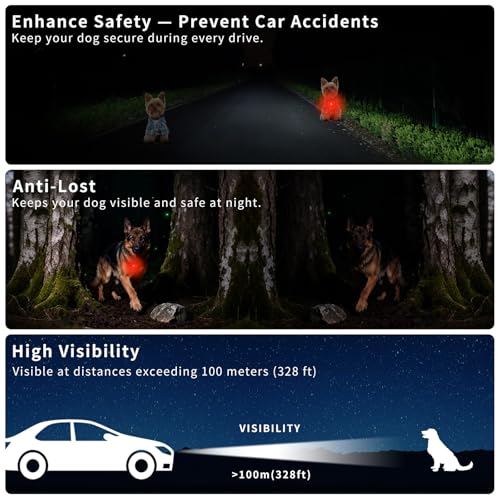 Safer Night Walks