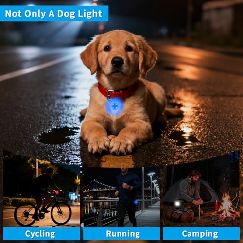 LED Dog Collar Light Rechargeable Clip On – Waterproof USB Pet Safety Light for Dogs, Cat & Owner Visibility, Ideal for Night Walking, Running & Camping (White)