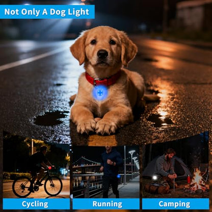 LED Dog Collar Light Rechargeable Clip On – Waterproof USB Pet Safety Light for Dogs, Cat & Owner Visibility, Ideal for Night Walking, Running & Camping (White)