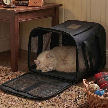 Conlun Cat Carrier Airline Approved, Soft-Sided Dog Carrier with Inner Safety Leash, Pet Transport Carrier for Small-Medium Cats Puppies up to 7KG, Collapsible Travel Kitten Carrier Bag,Black(M)