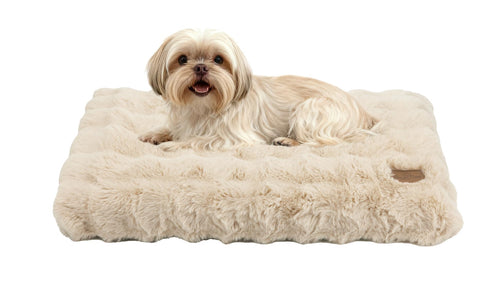 BingoPaw Dog Bed Medium Washable Removable Cover Beige M(76x51x10cm)