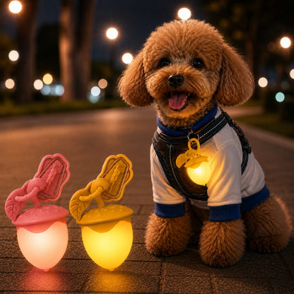 Acorn LED Pet Safety Light – Visible After Dark