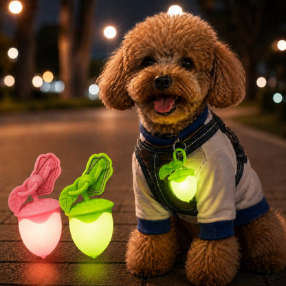 Acorn LED Pet Safety Light – Visible After Dark