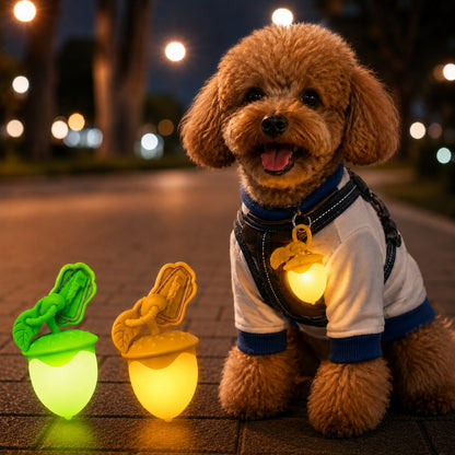Acorn LED Pet Safety Light – Visible After Dark