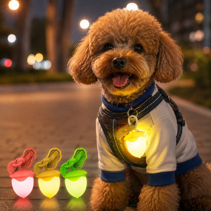 Acorn LED Pet Safety Light – Visible After Dark
