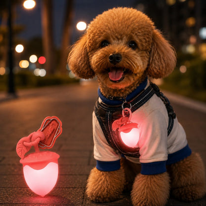Acorn LED Pet Safety Light – Visible After Dark