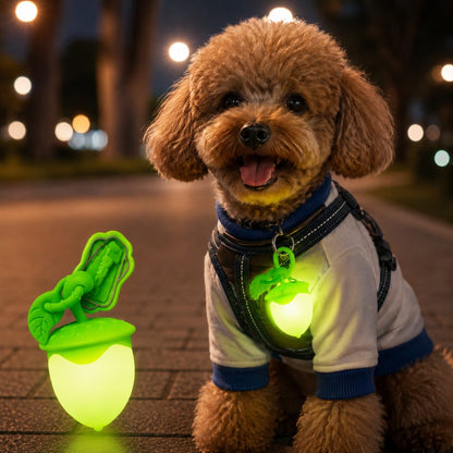 Acorn LED Pet Safety Light – Visible After Dark