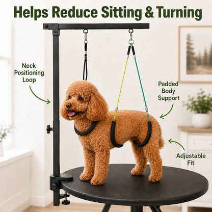 Dog Grooming Arm Kit – Steadier At-Home Grooming