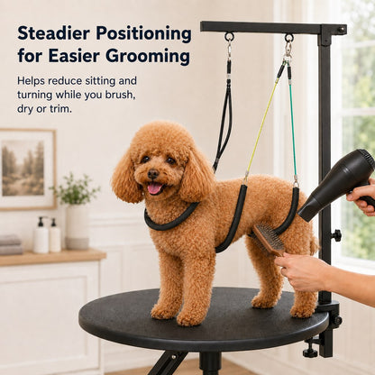 Dog Grooming Arm Kit – Steadier At-Home Grooming