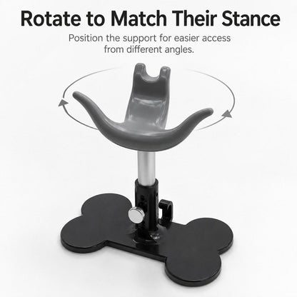 Dog Grooming Support Stand – Keeps Small Dogs Standing