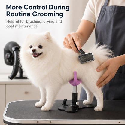 Dog Grooming Support Stand – Keeps Small Dogs Standing