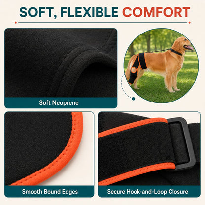 Dog Knee Brace with Support Strap – Reduces Slipping