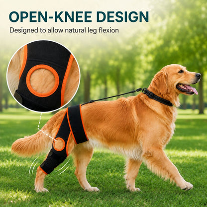 Dog Knee Brace with Support Strap – Reduces Slipping