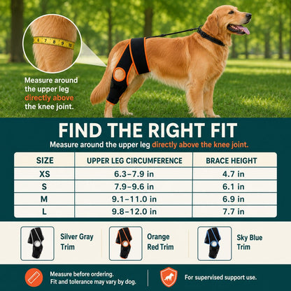 Dog Knee Brace with Support Strap – Reduces Slipping