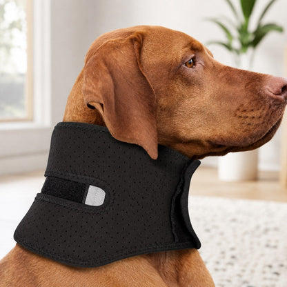 Dog Neck Support Brace – Breathable Rest Wrap