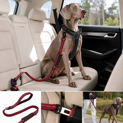 Dog Car Seat Belt Leash – Shock-Absorbing Safety