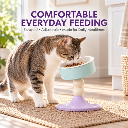 Adjustable Elevated Ceramic Pet Bowl – 20° Tilt