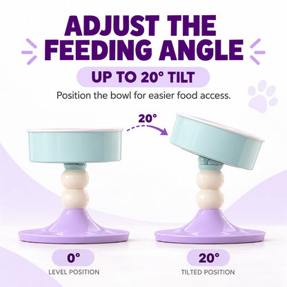 Adjustable Elevated Ceramic Pet Bowl – 20° Tilt