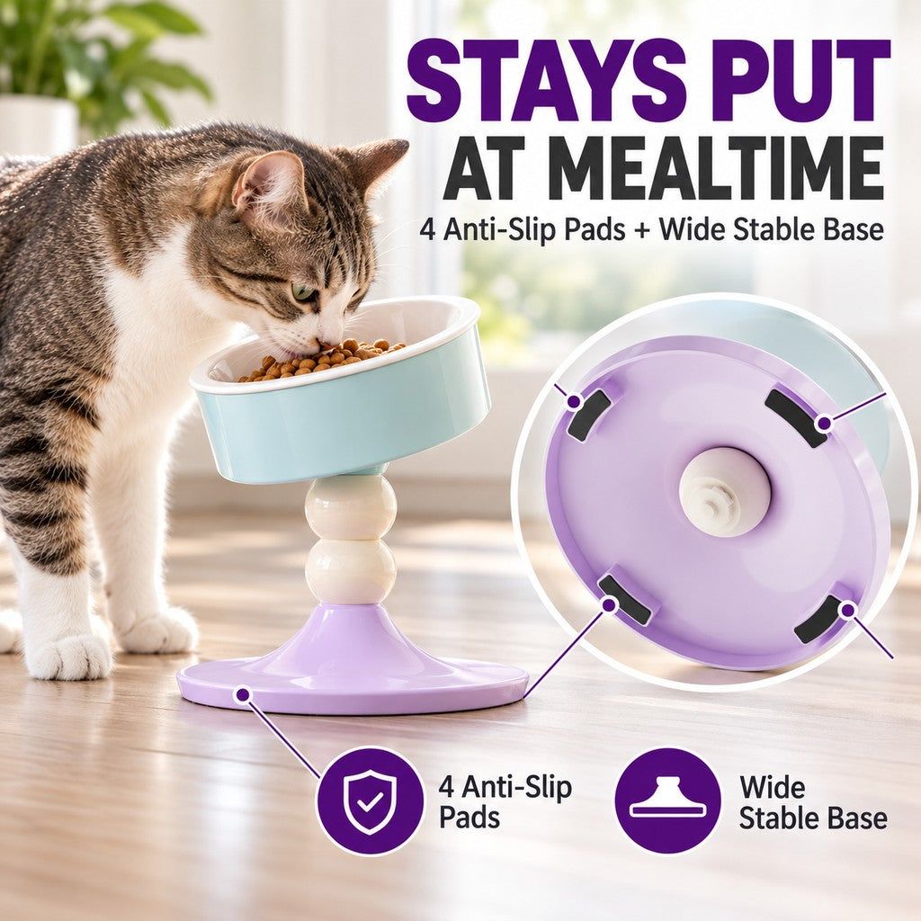 Adjustable Elevated Ceramic Pet Bowl – 20° Tilt