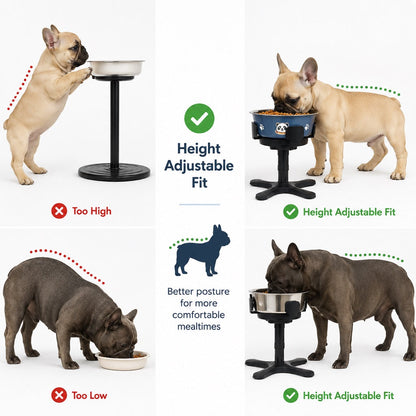 Tilted Elevated Dog Bowl – Less Neck Strain, Slow Feeding