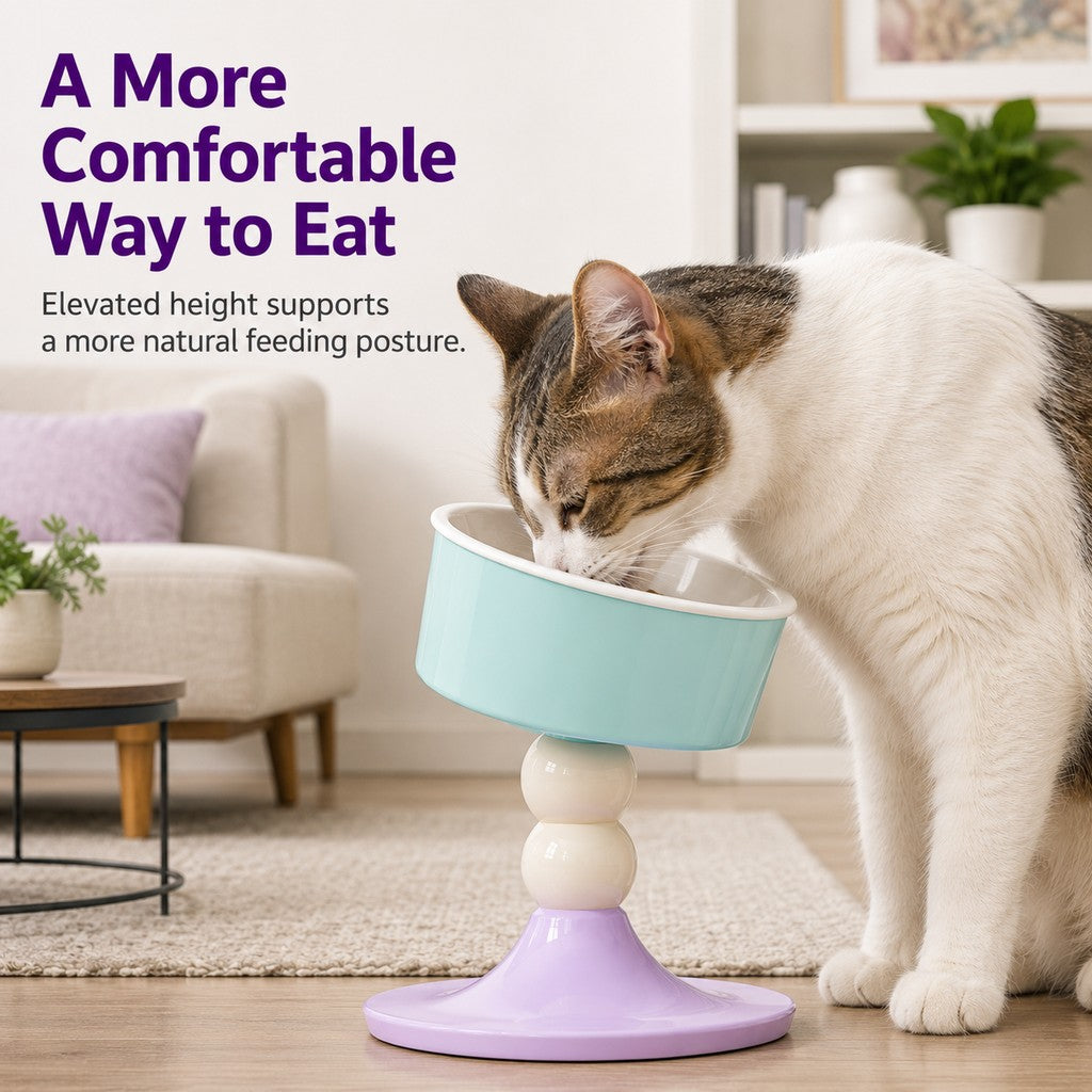 Comfortable Meals