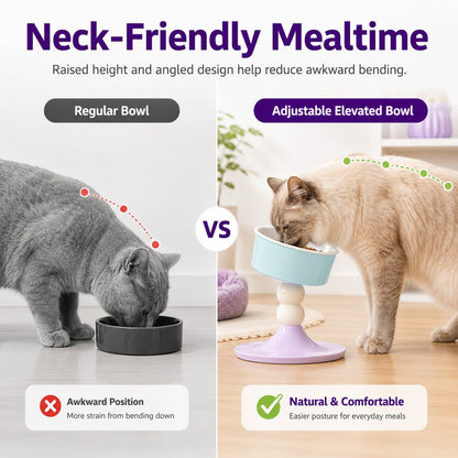 Adjustable Elevated Pet Bowl – 3 Height Modes