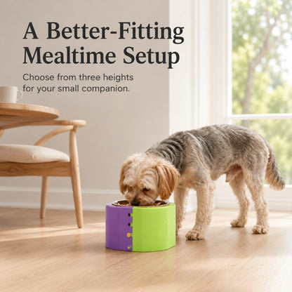 Elevated Slow Feeder Bowl – Adjustable 3 Levels
