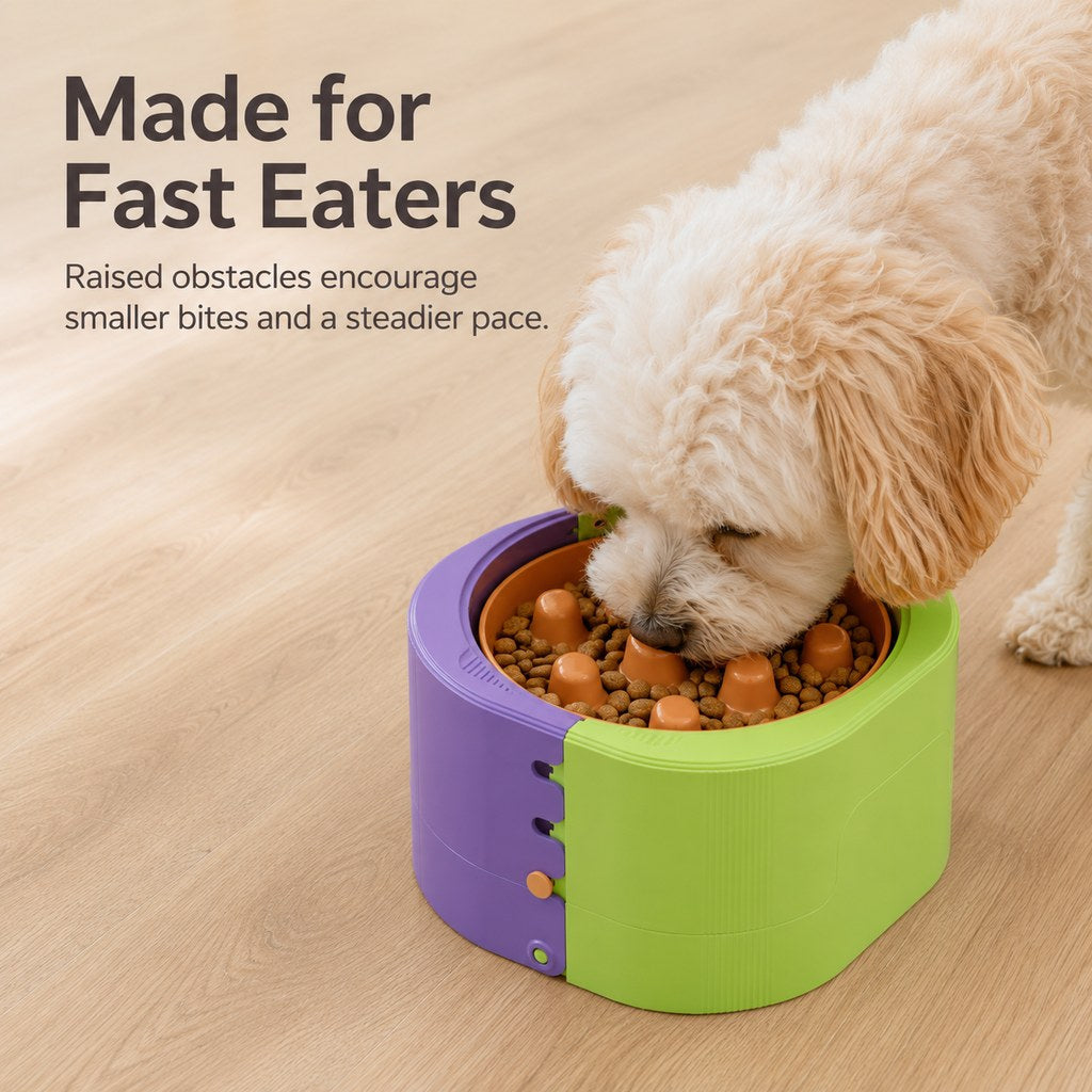Elevated Slow Feeder Bowl – Adjustable 3 Levels