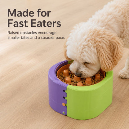 Elevated Slow Feeder Bowl – Adjustable 3 Levels