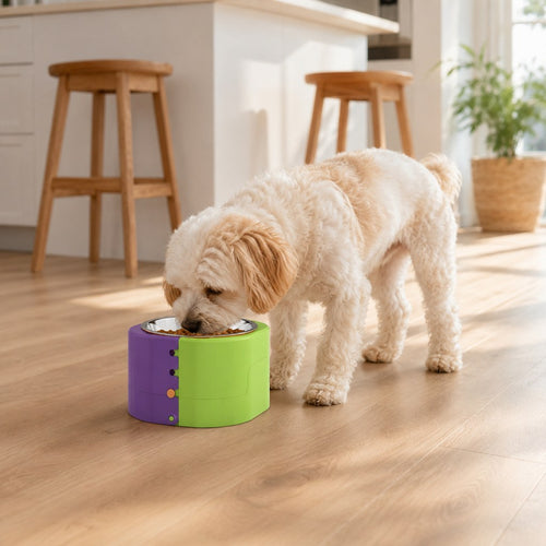 Elevated Slow Feeder Bowl – Adjustable 3 Levels