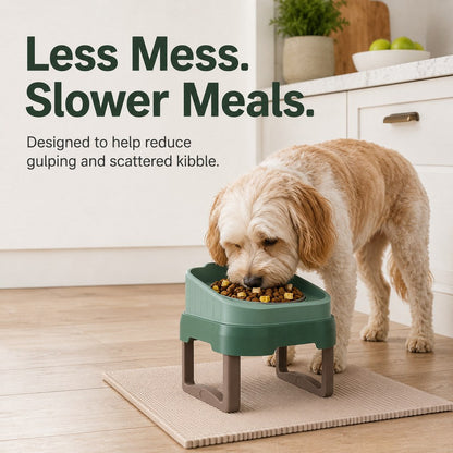 Elevated Slow Feeder Bowl – Slower Meals, Less Mess